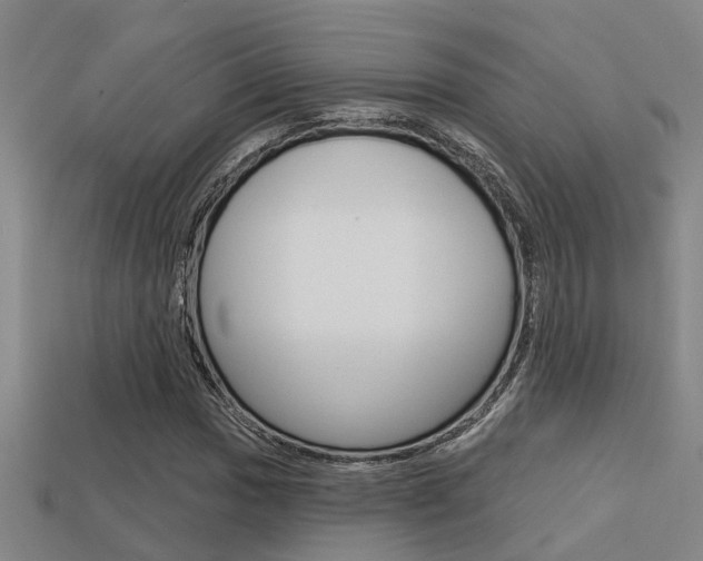 X0000113341017200909151001
