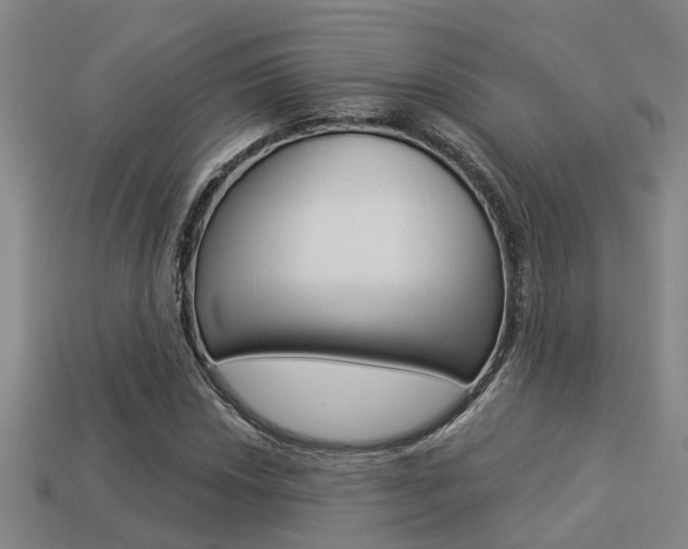 X0000113341018200909151001