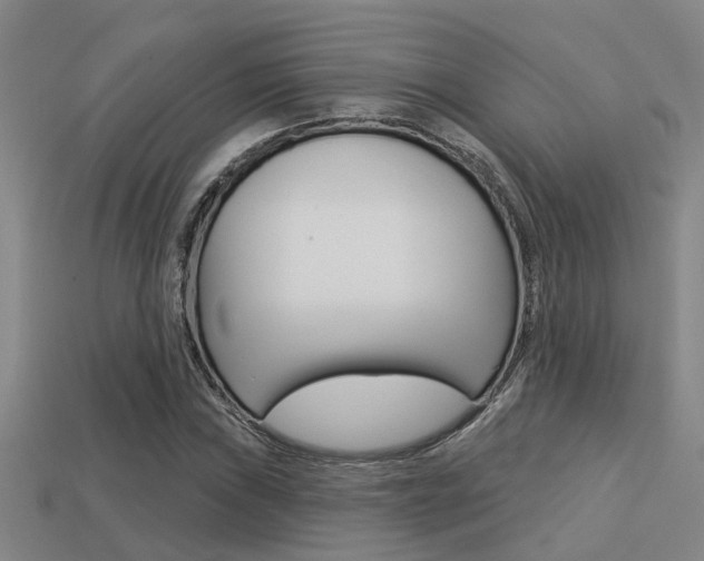 X0000113341019200909151001