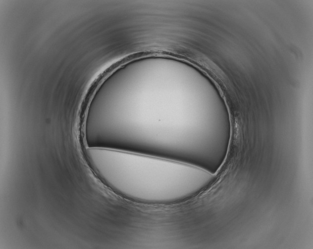 X0000113341020200909151001
