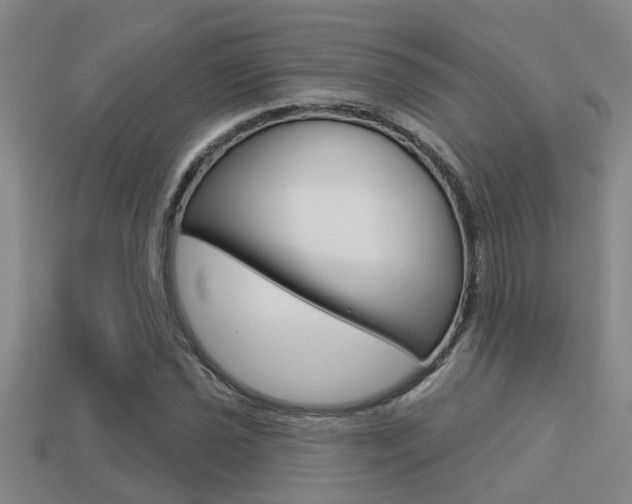 X0000113341021200909151001