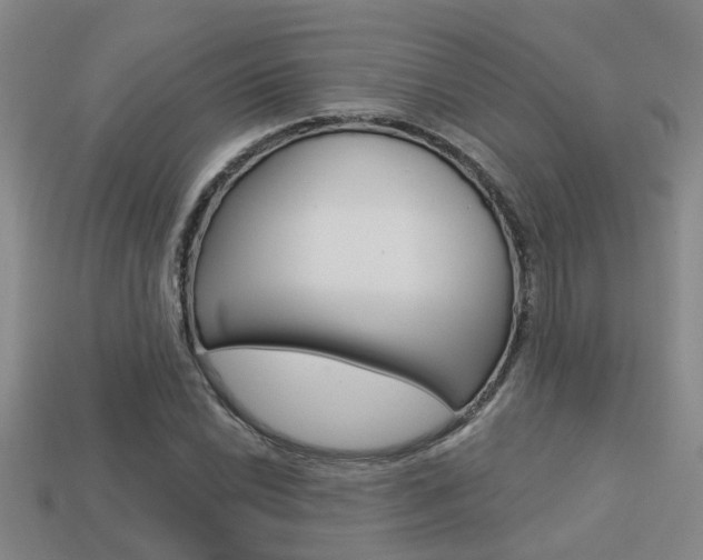 X0000113341022200909151001