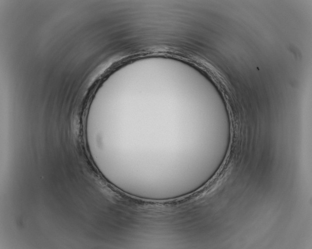 X0000113341023200909151001