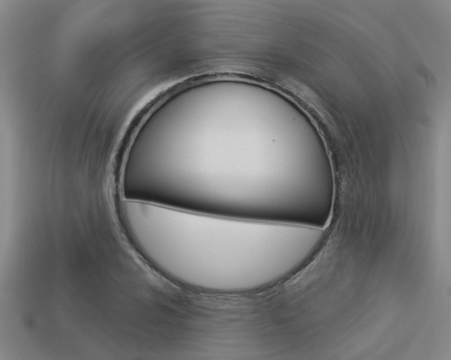 X0000113341024200909151001