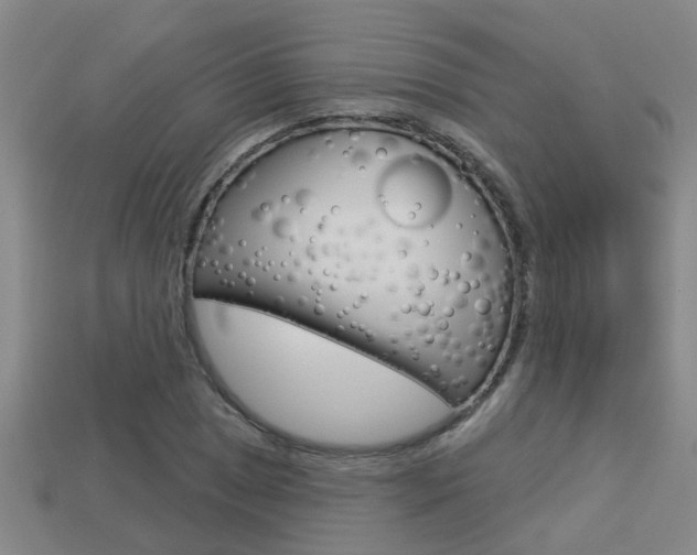 X0000113341025200909151001