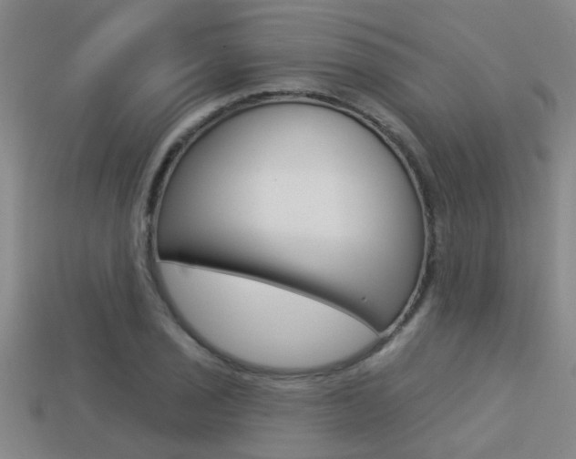 X0000113341029200909151001