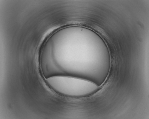 X0000113341030200909151001