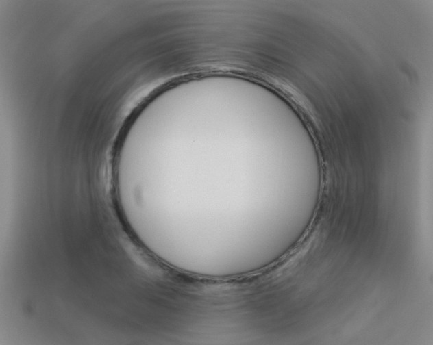 X0000113341031200909151001