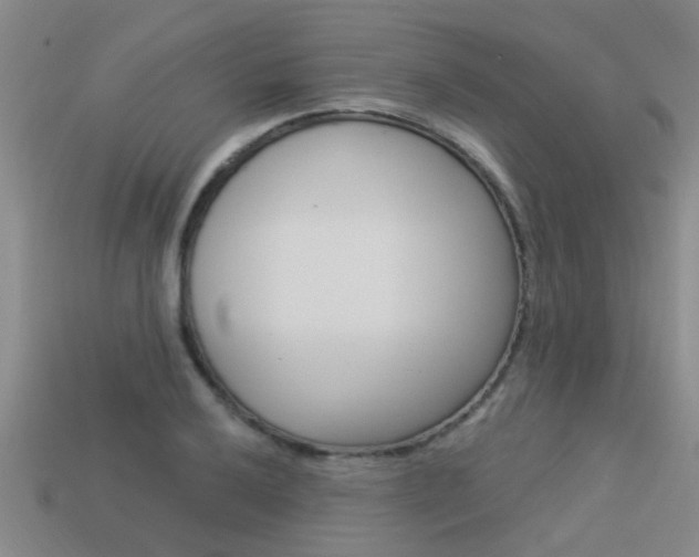 X0000113341032200909151001