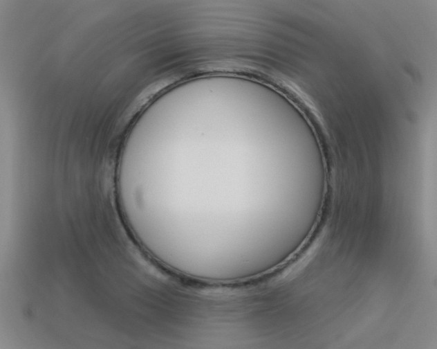 X0000113341033200909151001