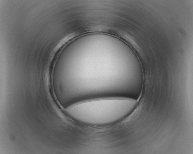 X0000113341034200909151001