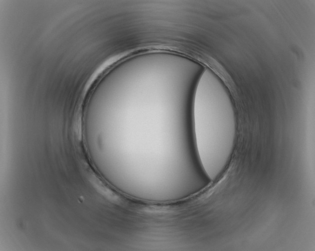 X0000113341036200909151001