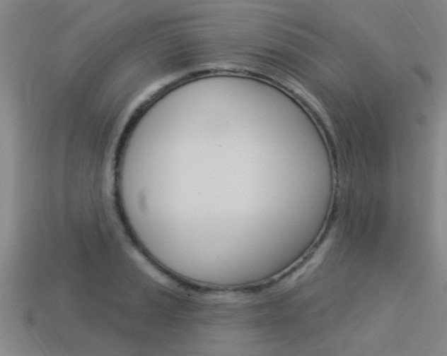 X0000113341037200909151001