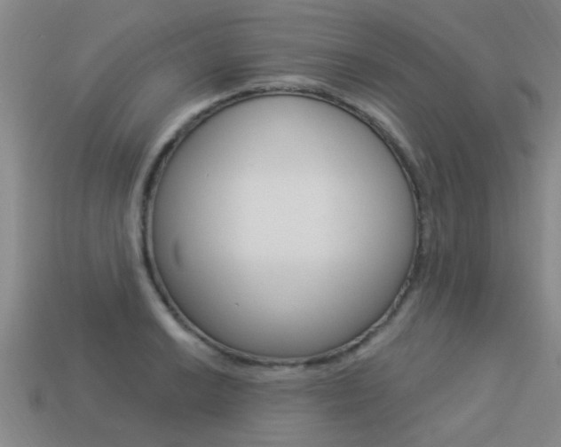 X0000113341038200909151001