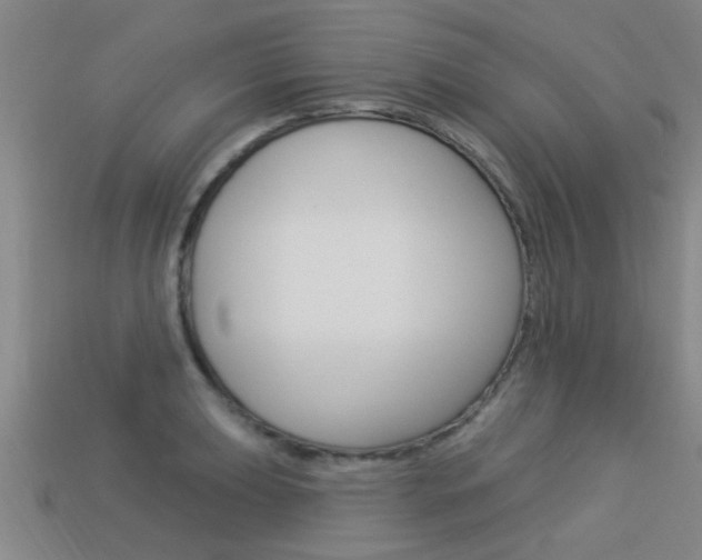X0000113341039200909151001