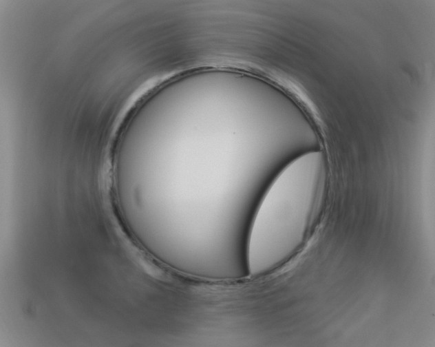 X0000113341040200909151001
