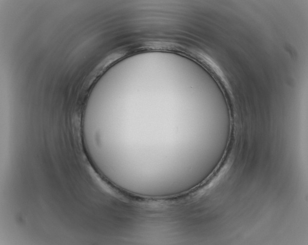 X0000113341041200909151001