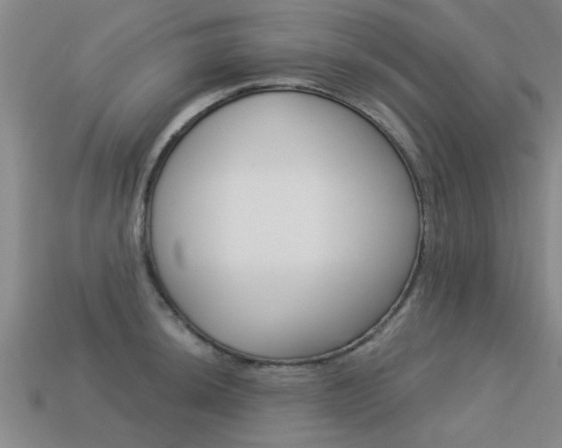 X0000113341044200909151001