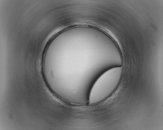 X0000113341045200909151001