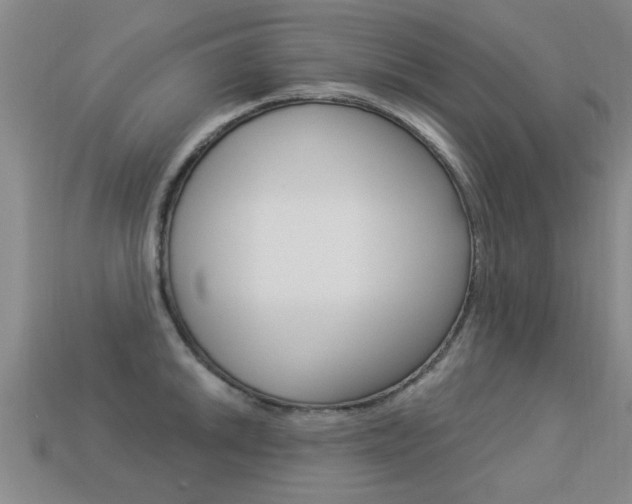 X0000113341046200909151001