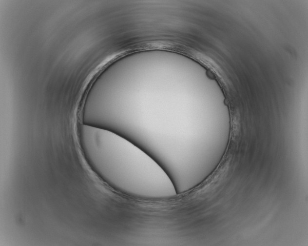 X0000113341047200909151001