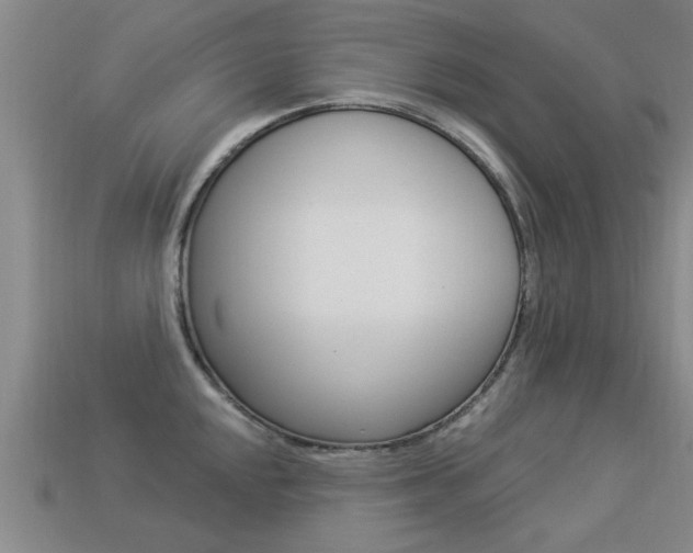 X0000113341048200909151001