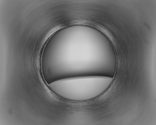 X0000113341050200909151001