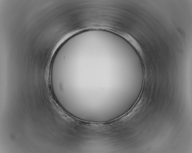 X0000113341052200909151001