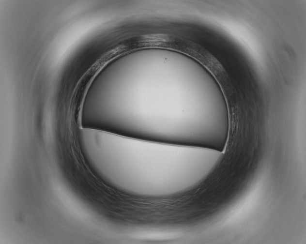 X0000113341054200909151001