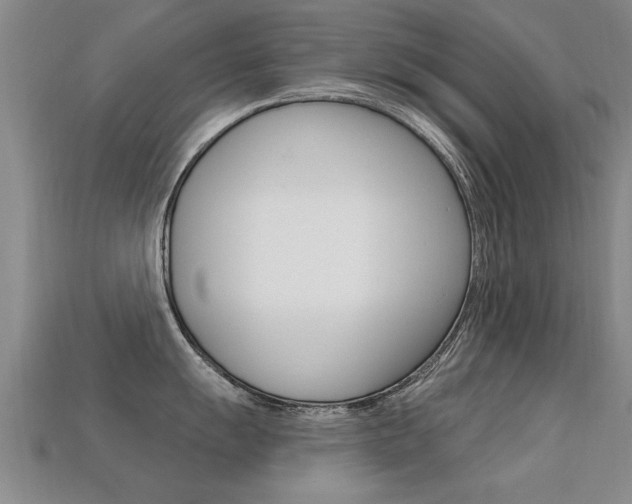 X0000113341055200909151001