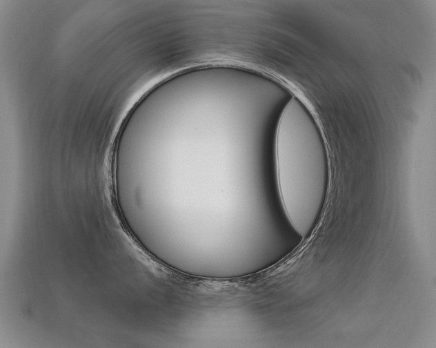 X0000113341056200909151001