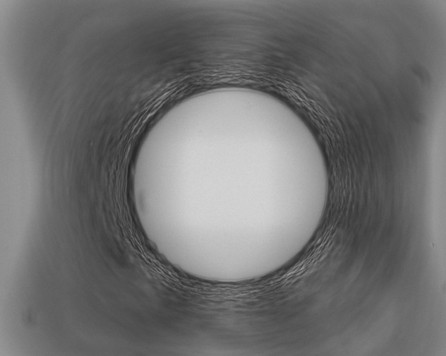 X0000113341057200909151001