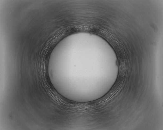X0000113341058200909151001