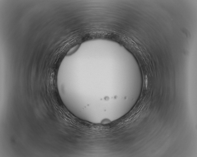 X0000113341059200909151001