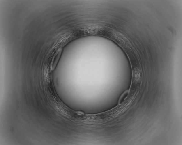 X0000113341060200909151001