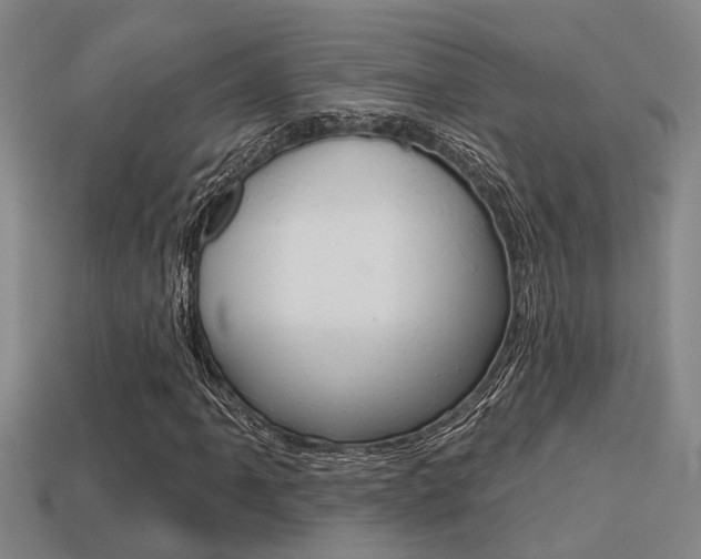 X0000113341061200909151001