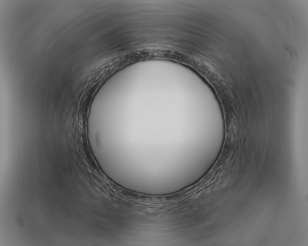 X0000113341062200909151001