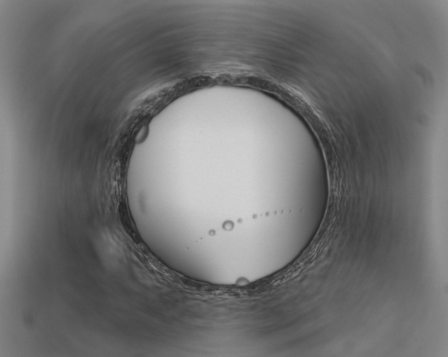 X0000113341063200909151001