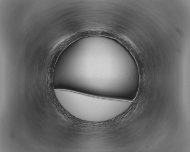 X0000113341064200909151001