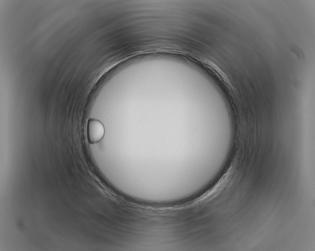 X0000113341065200909151001