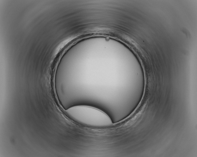 X0000113341066200909151001