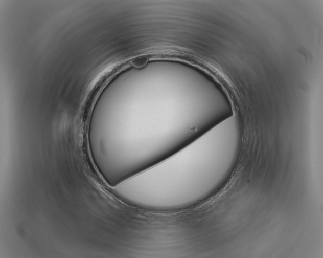 X0000113341067200909151001