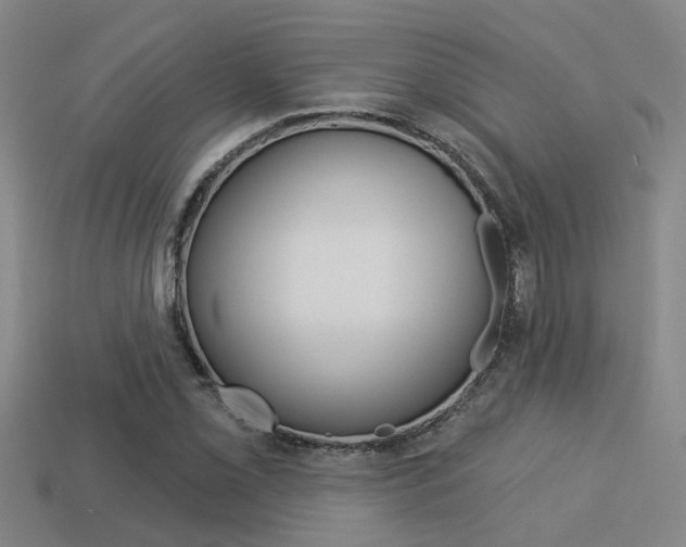 X0000113341069200909151001