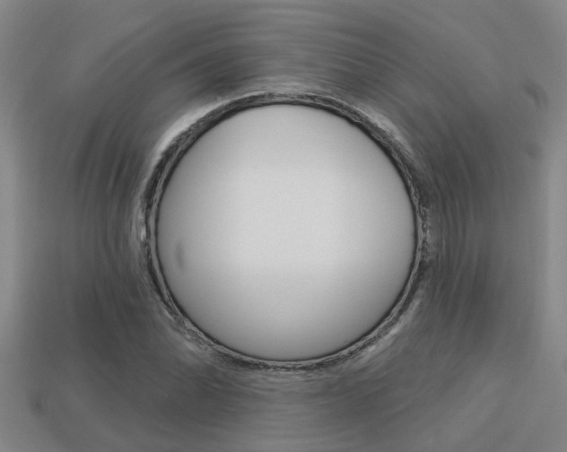 X0000113341070200909151001