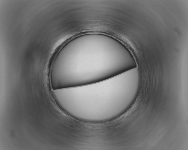 X0000113341071200909151000