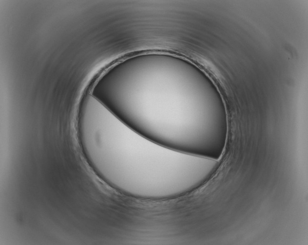 X0000113341072200909151000