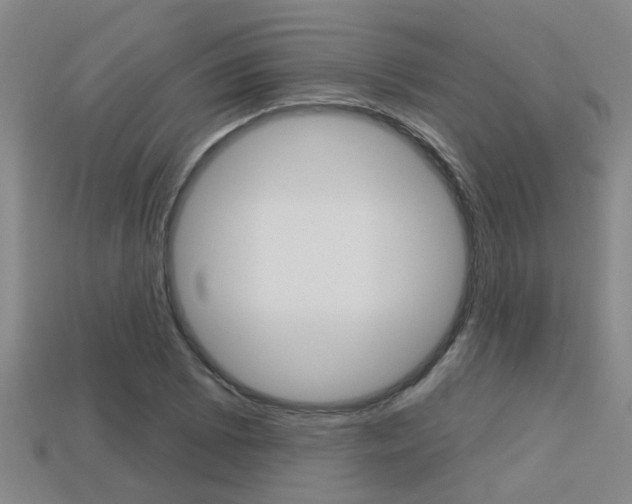 X0000113341073200909151000