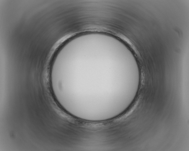 X0000113341074200909151000