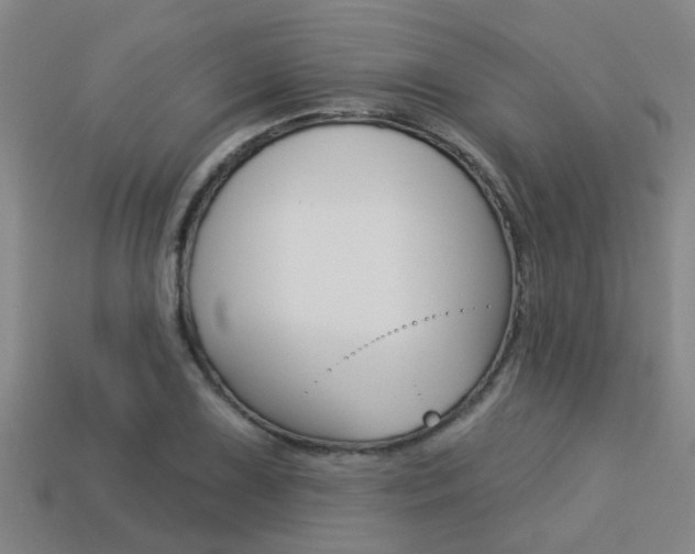 X0000113341075200909151000
