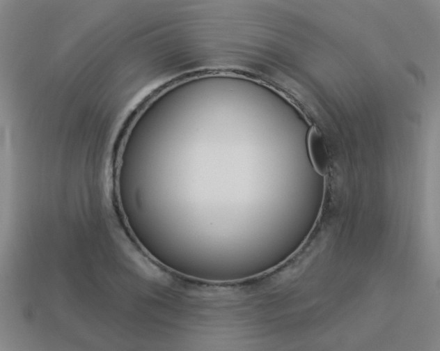 X0000113341076200909151000